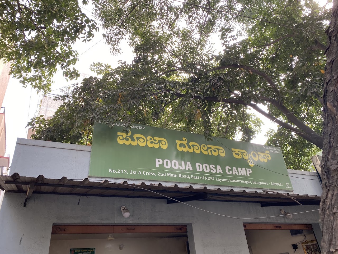 Pooja Dosa Camp, photo 1 of 8 posted by diners
