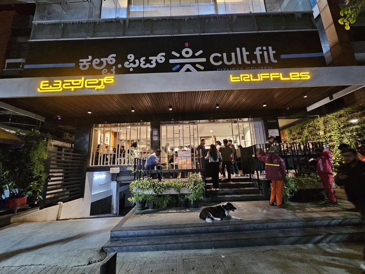 Peri Peri Paneer at Truffles - Indiranagar